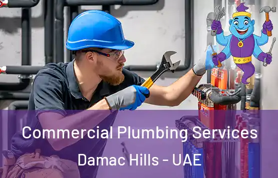  Commercial Plumbing Services Damac Hills - UAE