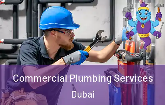  Commercial Plumbing Services Dubai
