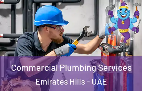  Commercial Plumbing Services Emirates Hills - UAE