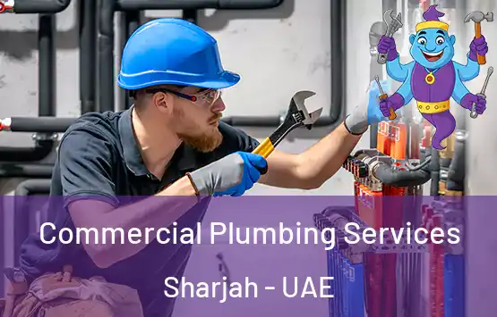  Commercial Plumbing Services Sharjah - UAE