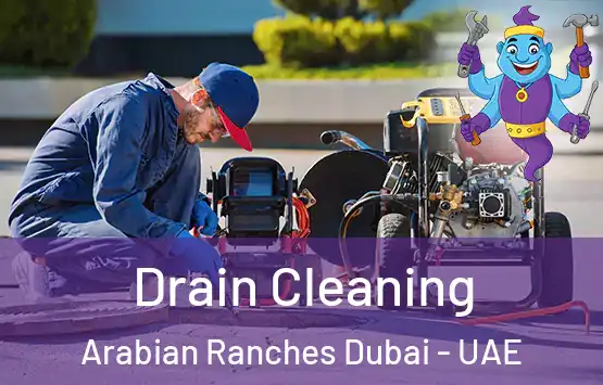  Drain Cleaning Arabian Ranches Dubai - UAE