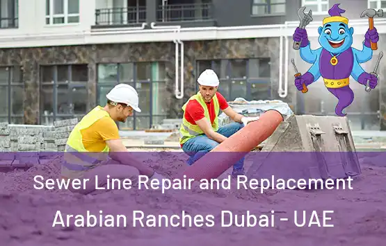  Sewer Line Repair and Replacement Arabian Ranches Dubai - UAE