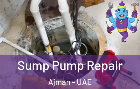  Sump Pump Repair Ajman - UAE