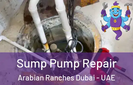  Sump Pump Repair Arabian Ranches Dubai - UAE