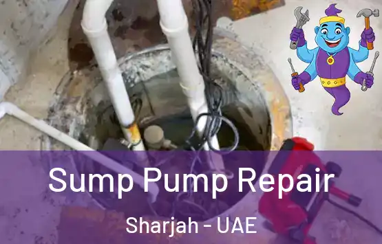  Sump Pump Repair Sharjah - UAE