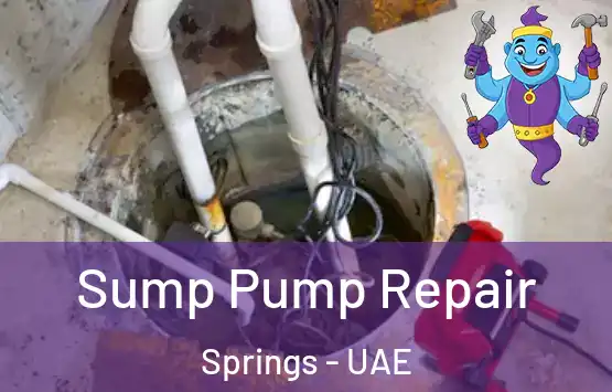  Sump Pump Repair Springs - UAE