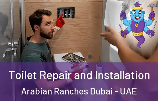  Toilet Repair and Installation Arabian Ranches Dubai - UAE