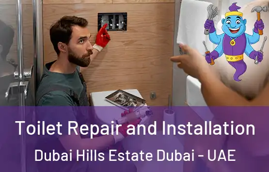  Toilet Repair and Installation Dubai Hills Estate Dubai - UAE