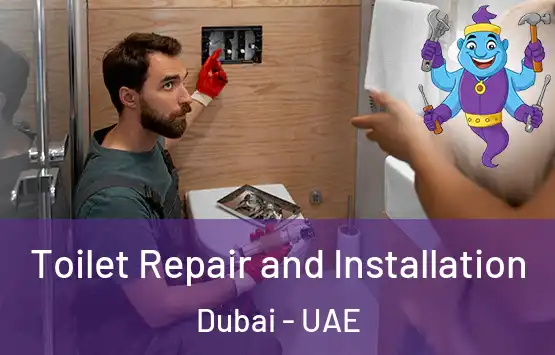  Toilet Repair and Installation Dubai - UAE