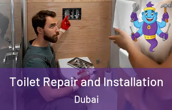  Toilet Repair and Installation Dubai