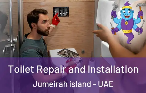  Toilet Repair and Installation Jumeirah island - UAE