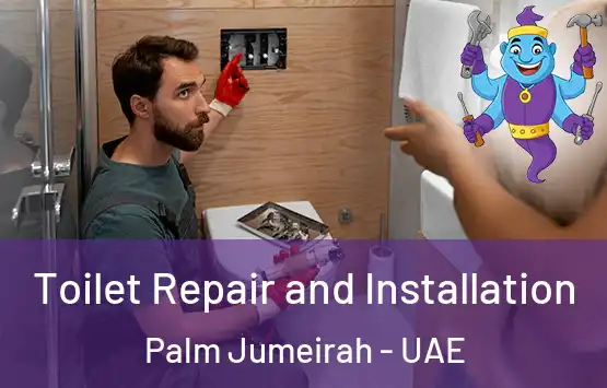  Toilet Repair and Installation Palm Jumeirah - UAE
