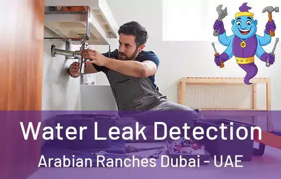  Water Leak Detection Arabian Ranches Dubai - UAE