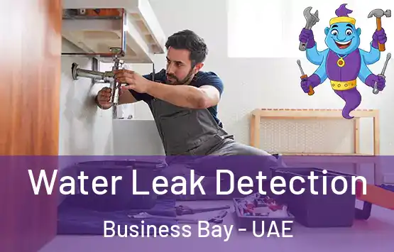  Water Leak Detection Business Bay - UAE