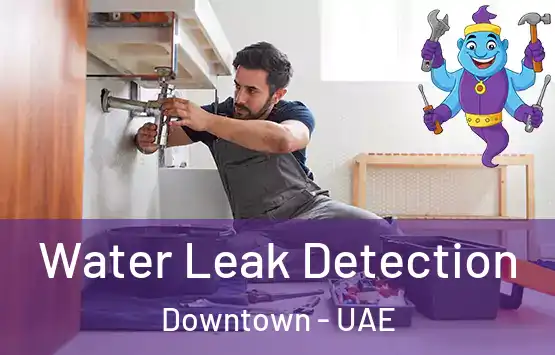  Water Leak Detection Downtown - UAE