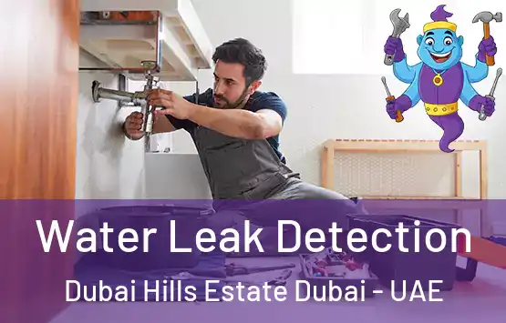  Water Leak Detection Dubai Hills Estate Dubai - UAE