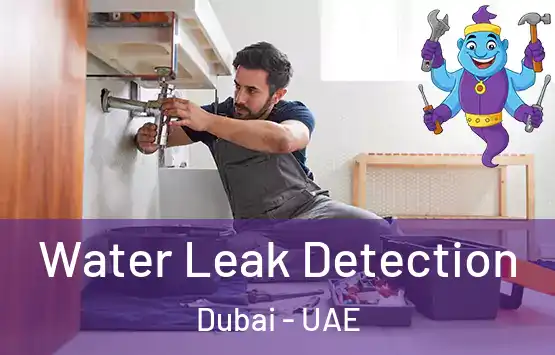  Water Leak Detection Dubai - UAE