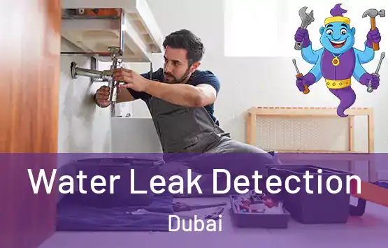  Water Leak Detection Dubai