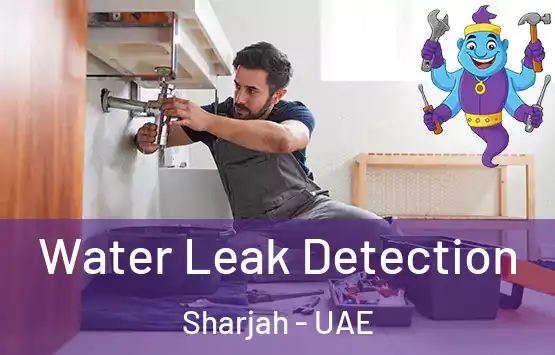  Water Leak Detection Sharjah - UAE