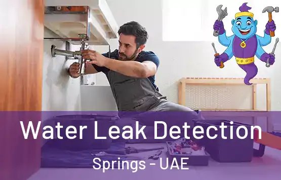  Water Leak Detection Springs - UAE