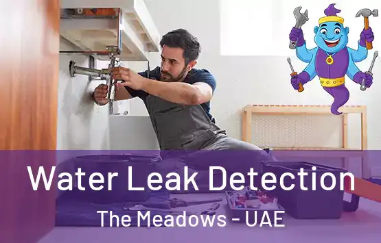  Water Leak Detection The Meadows - UAE