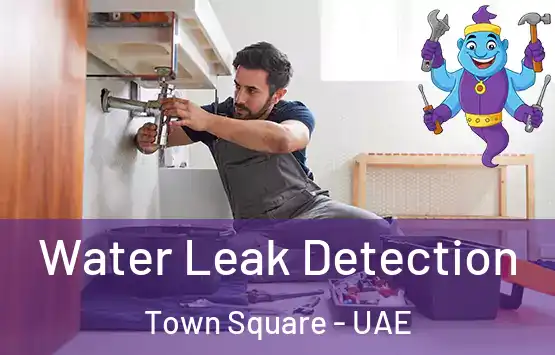  Water Leak Detection Town Square - UAE