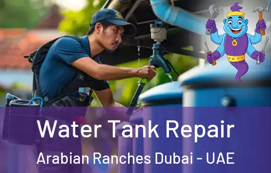  Water Tank Repair Arabian Ranches Dubai - UAE